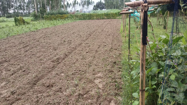 মির্জাপুরে সংখ্যালঘু পরিবারের পৈত্রিক জমি দখল চেষ্টার অভিযোগ
