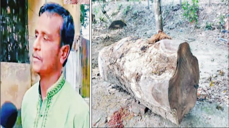 নানা অনিয়মের অভিযোগ উঠেছে বাসাইলে দায়িত্বরত টিএন্ডটি লাইনম