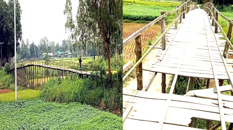 ছবির ক্যাপশন: 