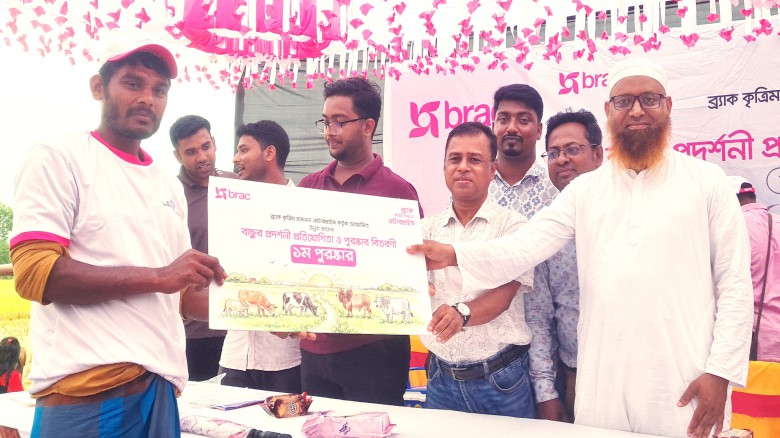 বাসাইলে উন্নত জাতের  বাছুরপ্রদর্শনী প্রতিযোগিতা ও পুরস্কার ব