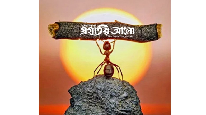 কোমা থেকে ফিরে এলো দৈনিক প্রগতির আলো