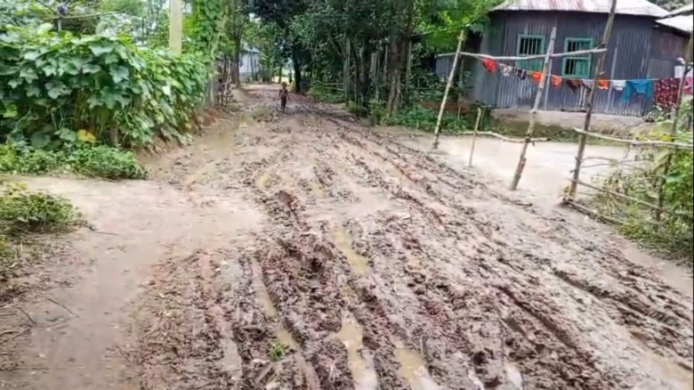 ধনবাড়ী উপজেলার মমিনপুর গ্রামের  কাঁচা সড়কে চলাচলে দুর্ভোগ