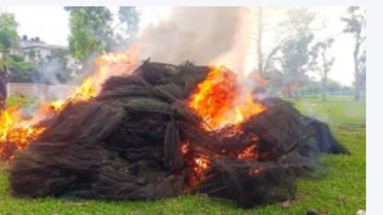 কালিহাতীতে ১৩ লাখ টাকার চায়না জাল পুড়িয়েছে
