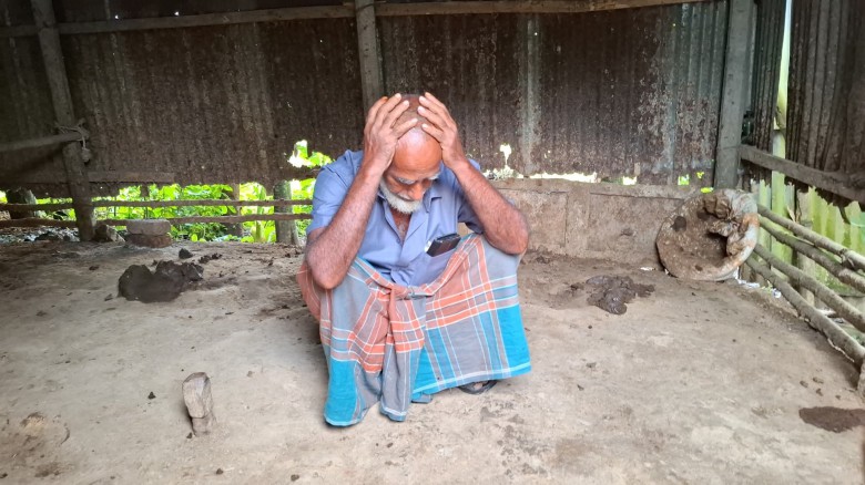 সখীপুরে দুইবারে কৃষকের ৮ গরু চুরি: