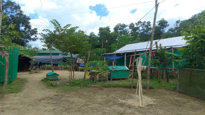 সখীপুরে বেদে পল্লী থেকে হুঁশিয়ারি: গুলি করে মাইরি ফেলেন, জম