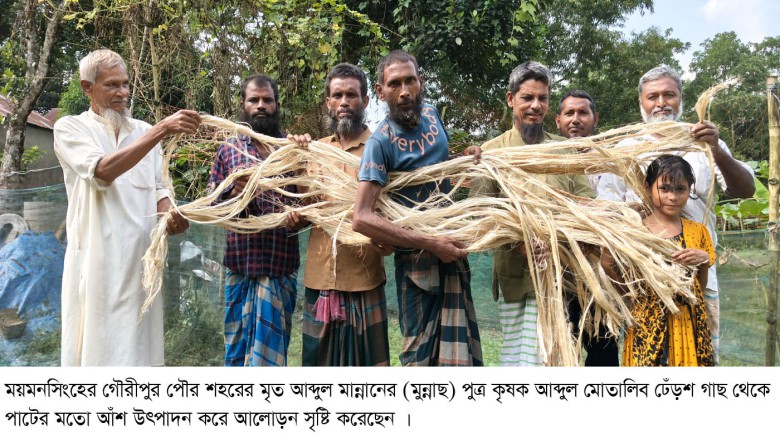 ঢেঁড়শ গাছ থেকে পাটের আঁশ!