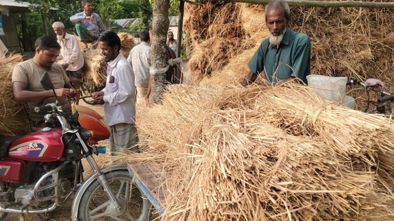 গোপালপুরে ধানের চেয়ে খড়ের দাম বেশি