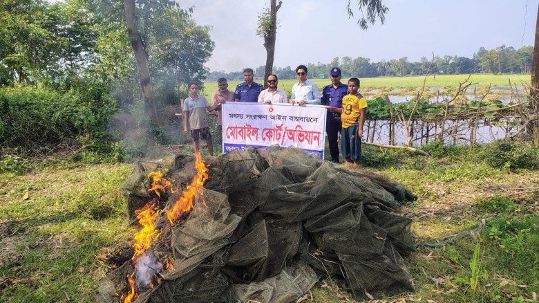 বাসাইলে ৫০০ মিটার চায়না দুয়ারী জাল পুড়িয়ে ধ্বংস