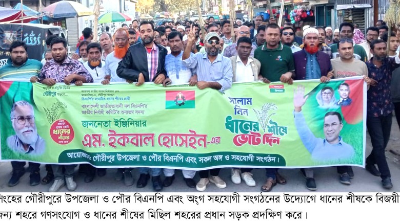 গৌরীপুরে ধানের শীষের গণসংযোগ ও মিছিল