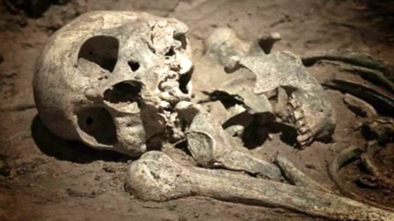 পরিত্যক্ত গরুর খামার থেকে রাশিদুলের মাথার খুলি একটি পা এবং ম