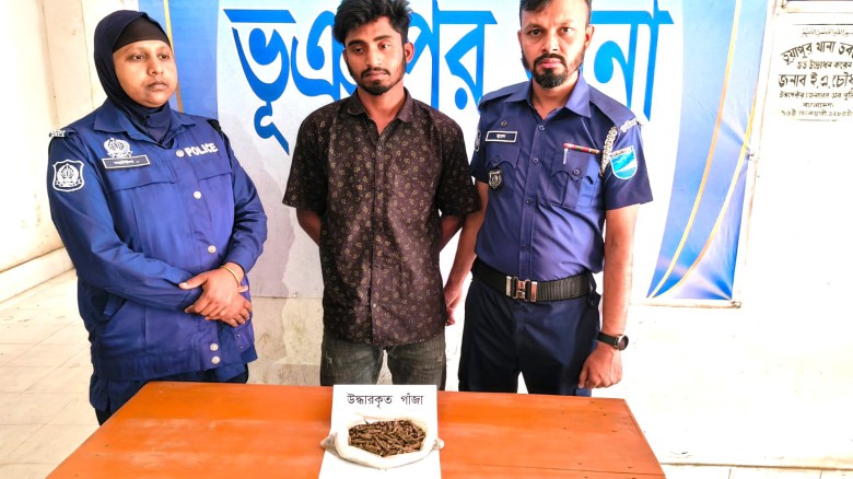 ভূঞাপুরে গাঁজাসহ মাদক ব্যবসায়ী গ্রেপ্তার