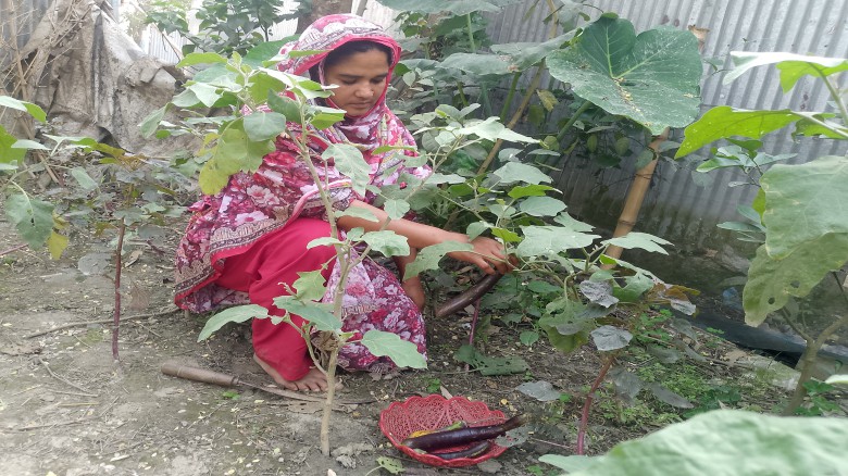 টাঙ্গাইলে কৃষকদের মাঝে আনন্দের বন্যা ॥ ১৪৫৩ জনকে কৃষক কার্ড 