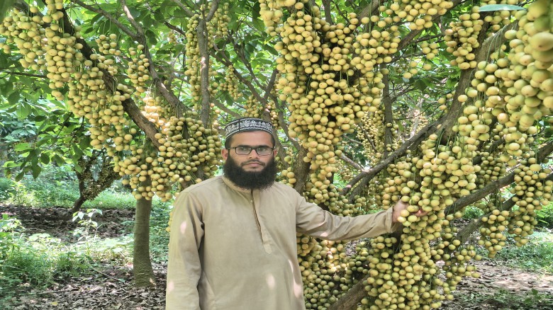 উন্নত জাতের ‘নয়নপুরী লটকন’ উদ্ভাবনে সফল ভালুকার রোকনউদ্দিন।