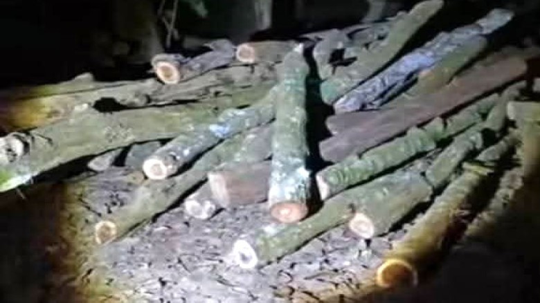 সখীপুরে ৫৫ খন্ড শালগজারি কাঠ উদ্ধার