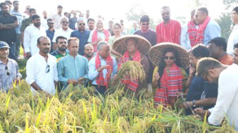কৃষিতে অধিকতর গুরুত্ব দিচ্ছে বিএনপি সরকার . . . তথ্যপ্রযুক্ত
